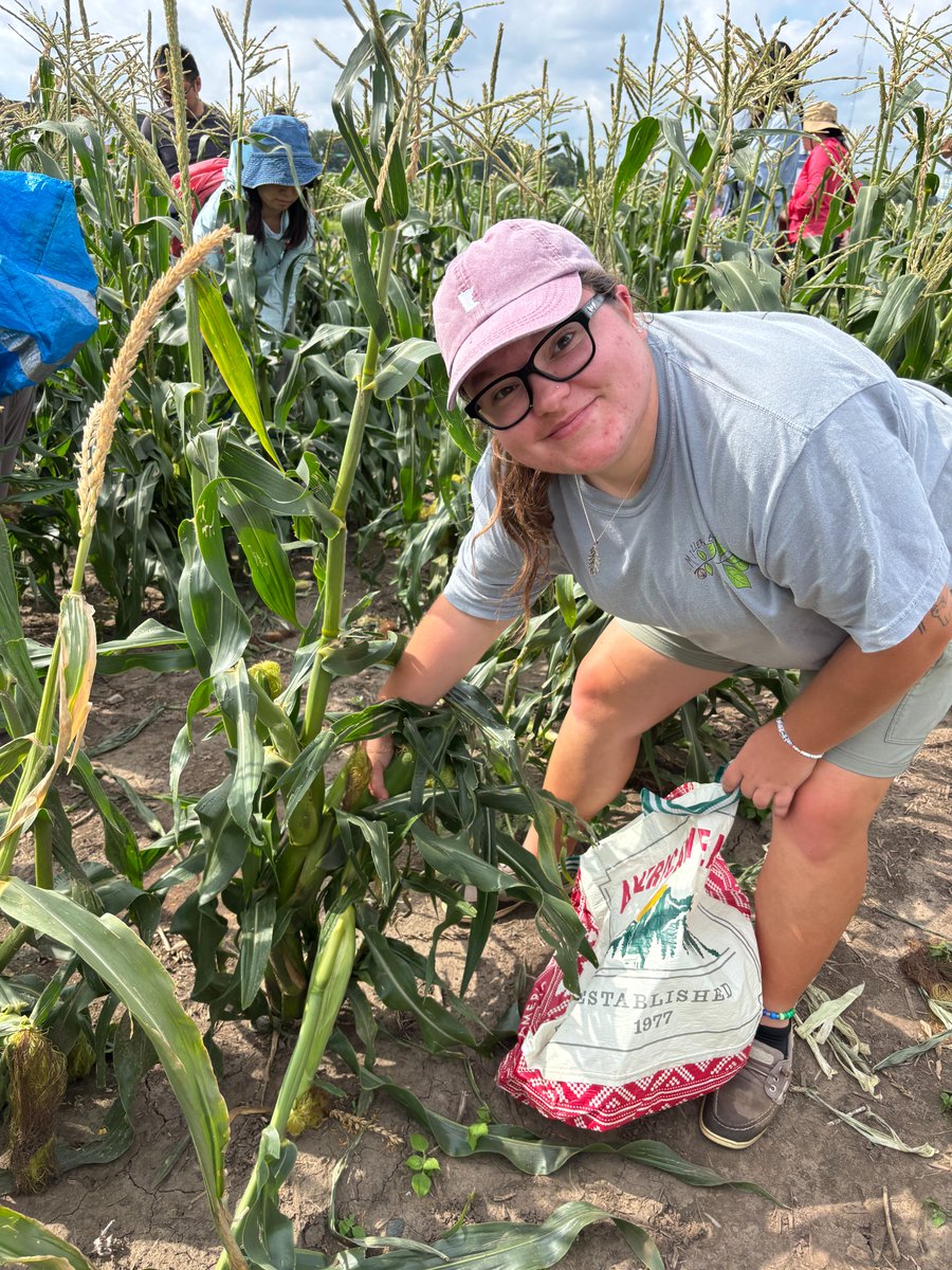 UMN Plant Breeding Center tweet media