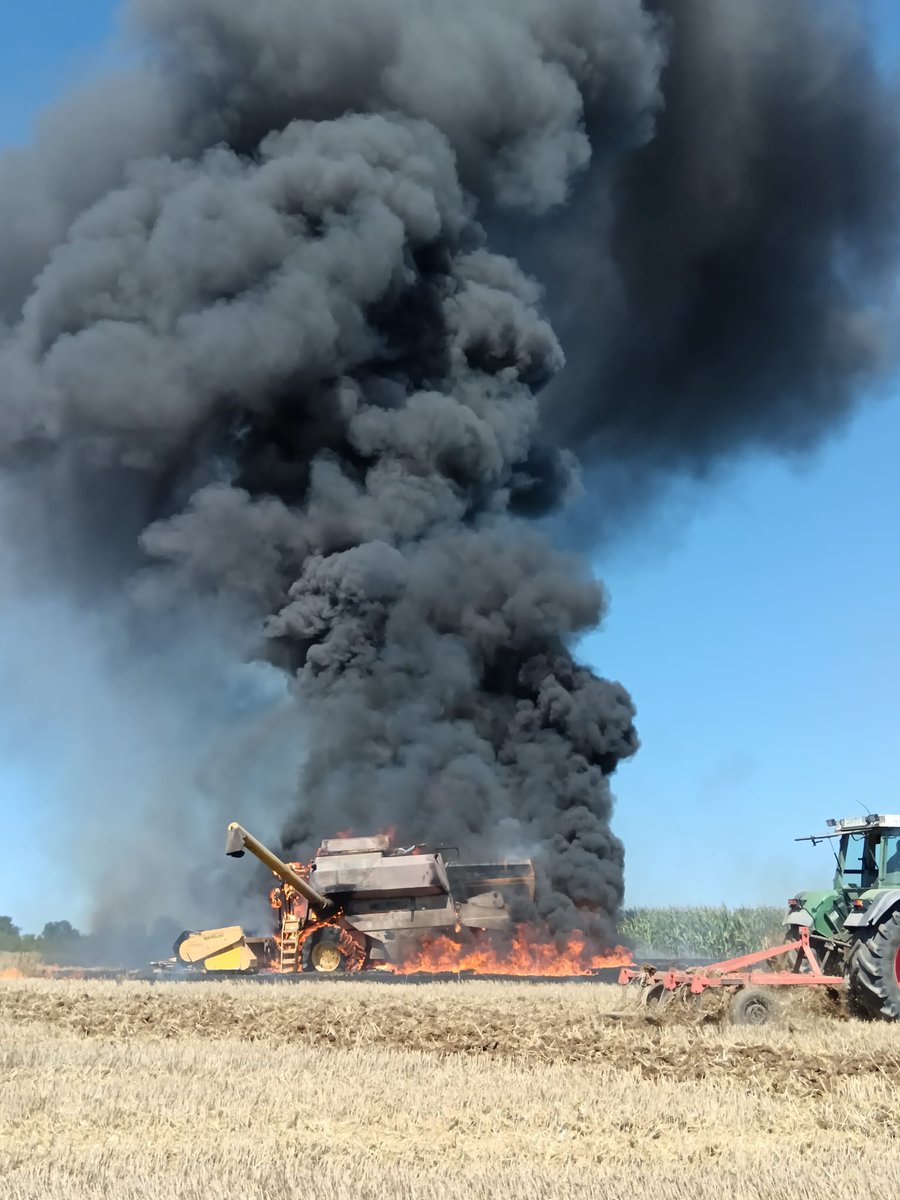 Thomas Laubenbacher tweet media