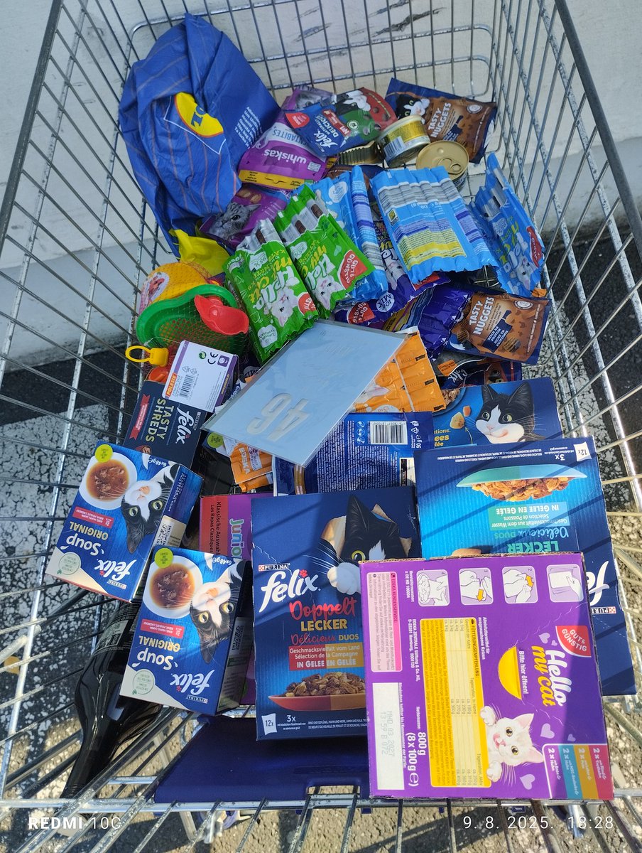 Moj šoping sve za mačke,o živote krompirčiću na čarapi🤦