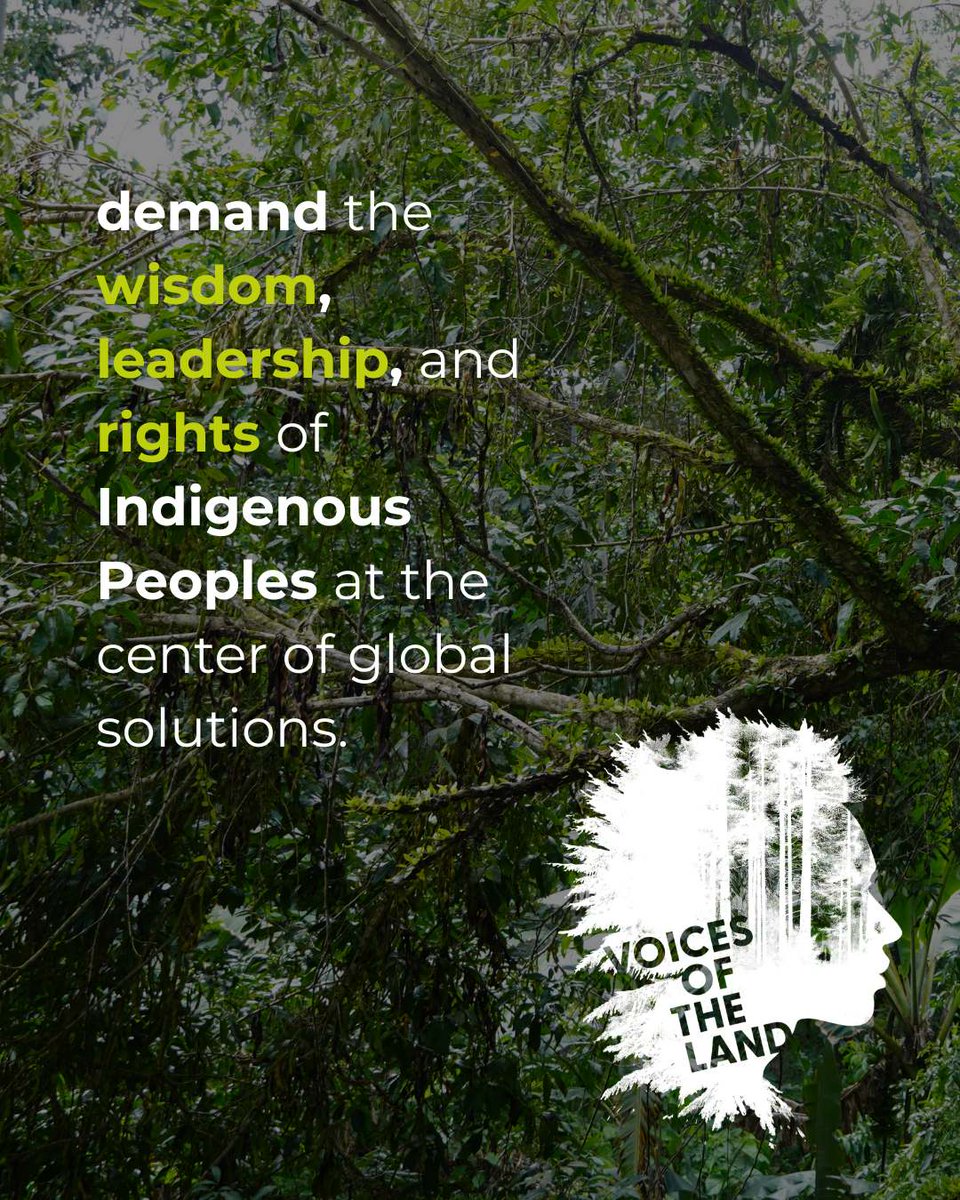 FSC Indigenous Foundation tweet media