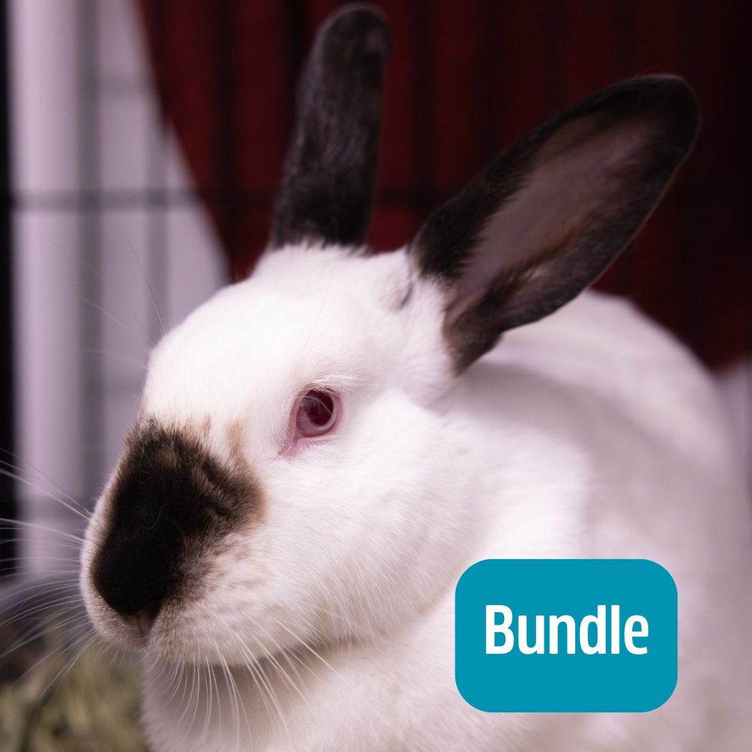 Lake Humane Society tweet media