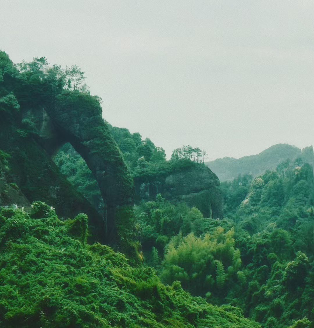 林