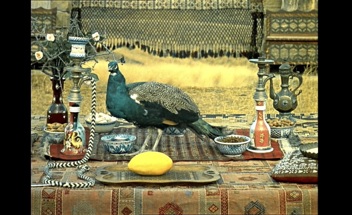 Meine Freundin: Warum schaust du immer nur so komische Filme? 😭

Ich: So komisch sind die gar nicht.

Die Filme: