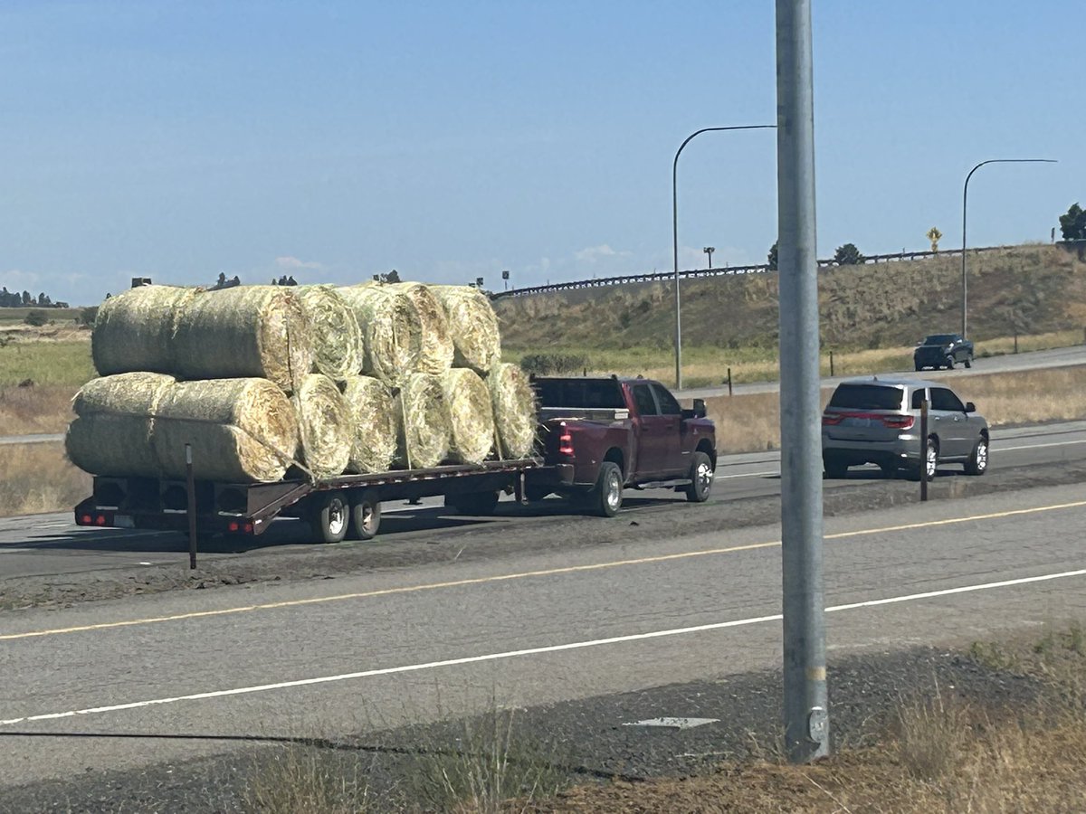Alexandra Coenjaerts KXLY (@alex_coenjaerts) on Twitter photo WSP says this all started when a deputy tried to help a man who had hay bales that fell off his truck. His patrol car was then struck by a motorcyclist, which ricocheted into the deputy.
WSP says this will likely be a full-day investigation.
<a href="/kxly4news/">4 News Now</a> WSP says this all started when a deputy tried to help a man who had hay bales that fell off his truck. His patrol car was then struck by a motorcyclist, which ricocheted into the deputy.
WSP says this will likely be a full-day investigation.
<a href="/kxly4news/">4 News Now</a>