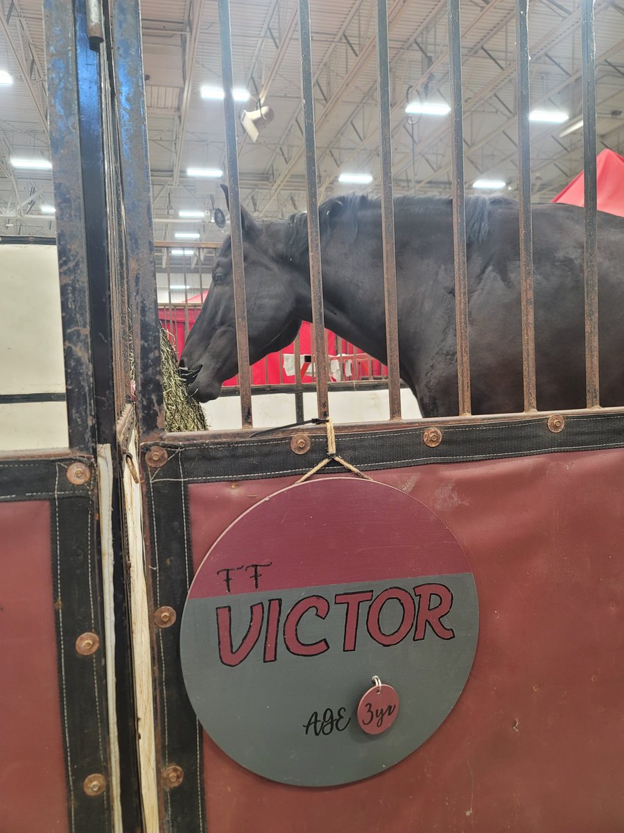 oAnimalso's tweet photo. Big horse boy
#animal #animals #horses #horse #statefair https://t.co/tB6OFfhbqf