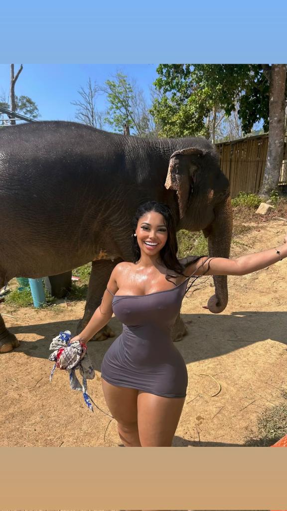 tootatis_off's tweet photo. Hello les abonnés 😘 si tu veux voir ce qui se cache en dessous like, retweet et abonne toi je t'envoie une surprise en DM 🎁🥵 https://t.co/AqGHYZdjvX