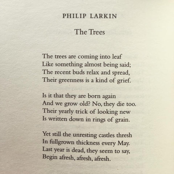 ❛ Poetry should begin with emotion in the poet, and end with the same emotion in the reader. The poem is simply the instrument of transferance.

Poet Philip Larkin, born #OTD in 1922.