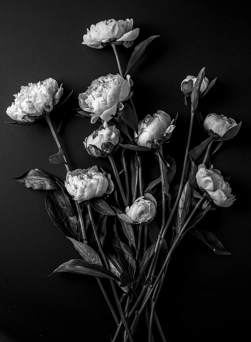 shimashots's tweet photo. Artists shape human experience into inspiring, challenging art.
#NFT_SUPPOR
https://t.co/fYt4FMugoK https://t.co/drNmN9jvFt