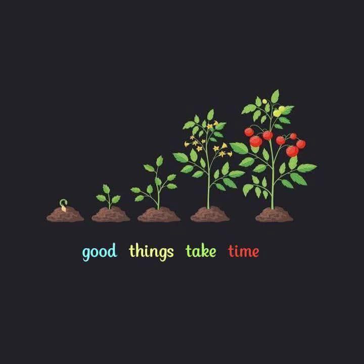 FreakyTheory's tweet image. good things take time.
