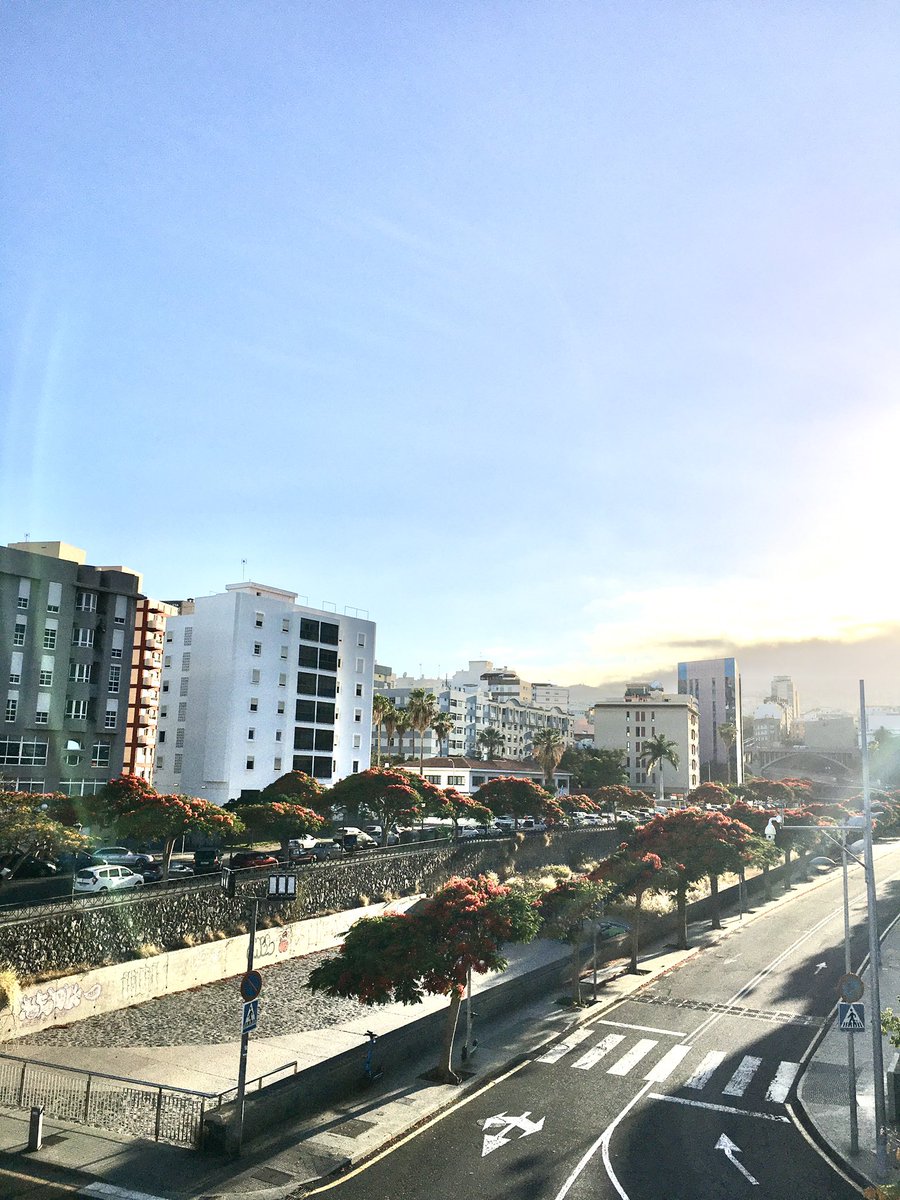 Feliz sábado ☀️☀️☀️

<a href="/EmocionesCan/">Emociones Canarias</a> <a href="/wandwoo/">Desde mi corazon</a> <a href="/elpaiscanario/">EL PAÍS CANARIO</a> <a href="/yconsumocanario/">Yo Consumo Canario 🇮🇨 🌴</a> <a href="/TeneriFeliz/">TeneriFeliz ☀️⛱️ ❤️</a> <a href="/VisitaVen/">Ven de Visita a Tenerife</a> <a href="/Urbanaga1/">Urbanaga</a> <a href="/webtenerife/">Turismo De Tenerife</a> <a href="/CONTUNDENTEE/">Francisco Guerra Sandoval. 🏴󠁧󠁢󠁳󠁣󠁴󠁿</a> <a href="/de1969/">maría lapas</a>