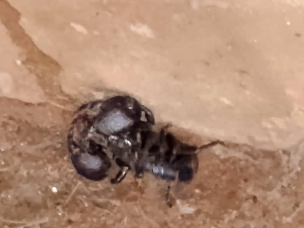 We visited  the house of the First missionary who was Roasted  alive  for PREACHING JESUS 

Thy kill him 😭😭
His house was us for discipleship for a new convert and the story has it that his house was kept for an example for anyone who want to become a Christian in the community