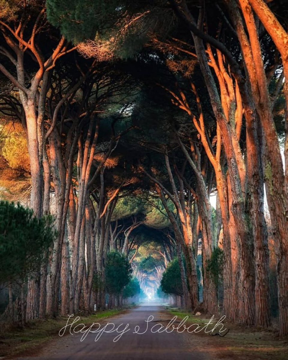 AuroraB_r's tweet image. Happy Sabbath!