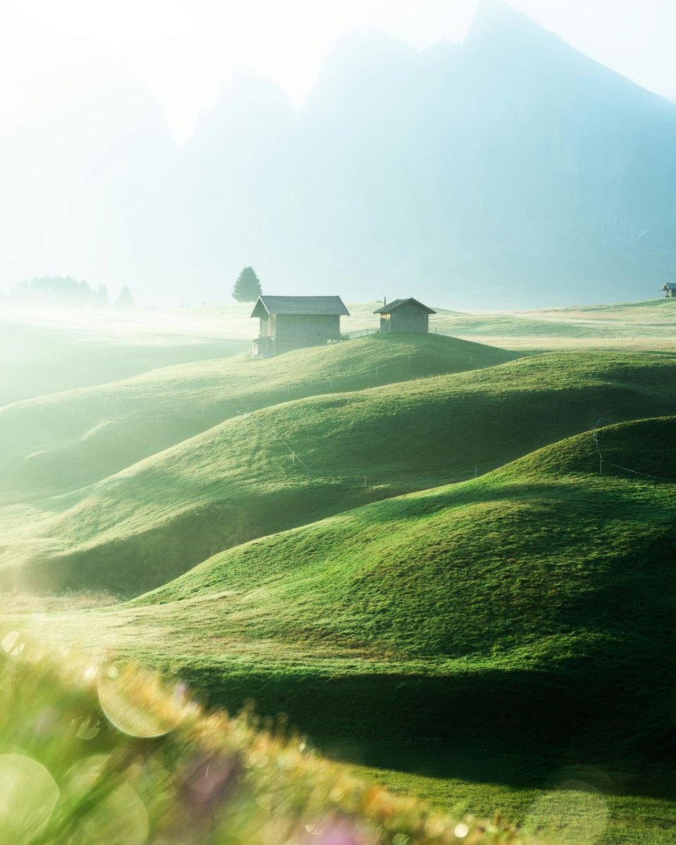 Dolomites, Italy 🍃