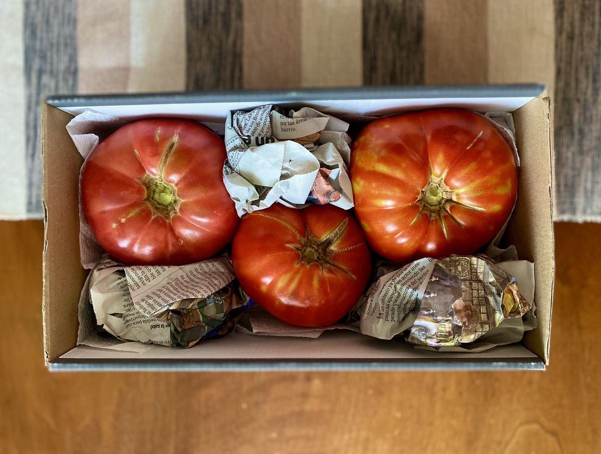 Regalos que trae el verano en una caja de zapatos.

#VegaDeGranada 
#Verano