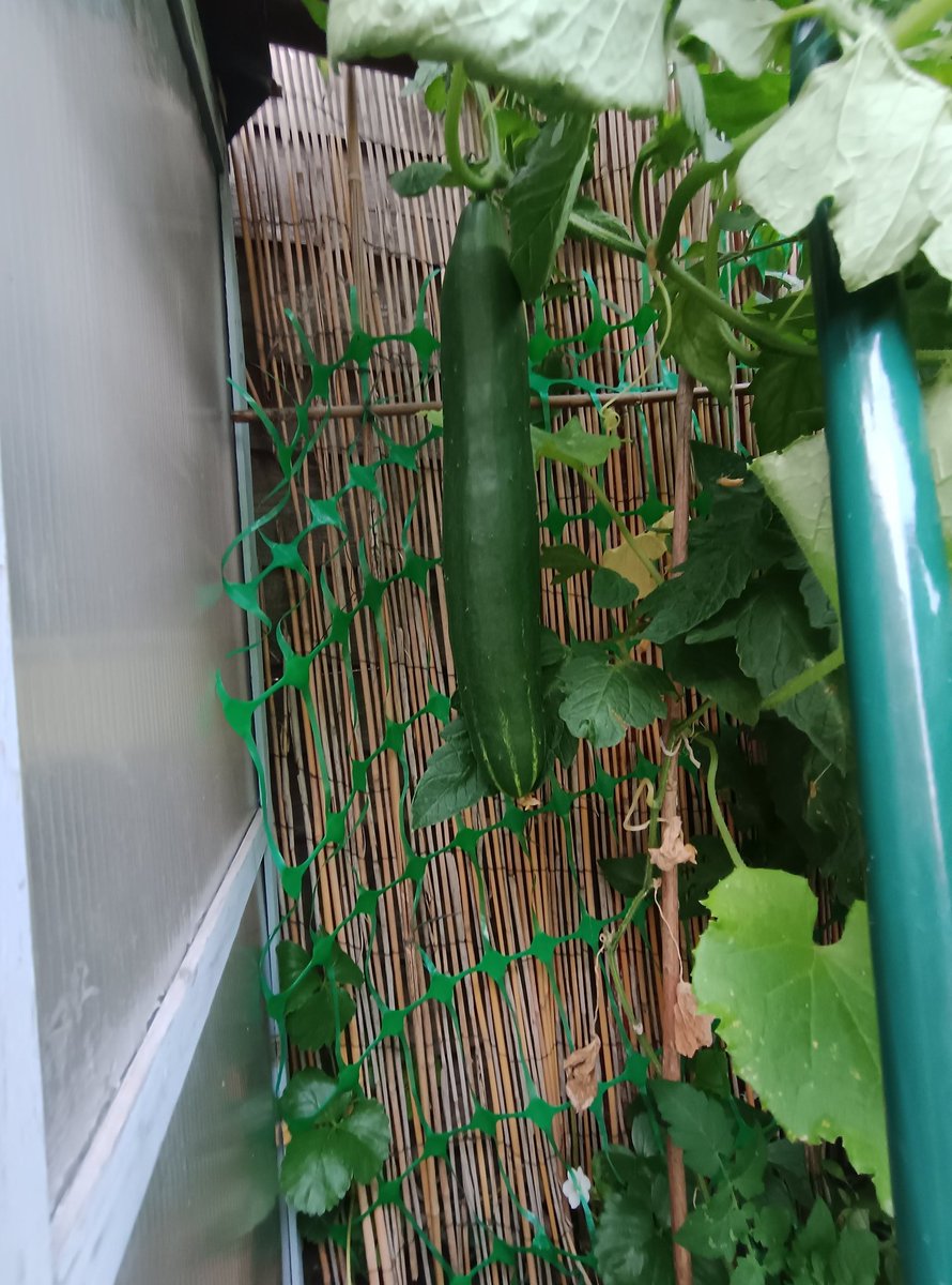 Andy Sheppard tweet media