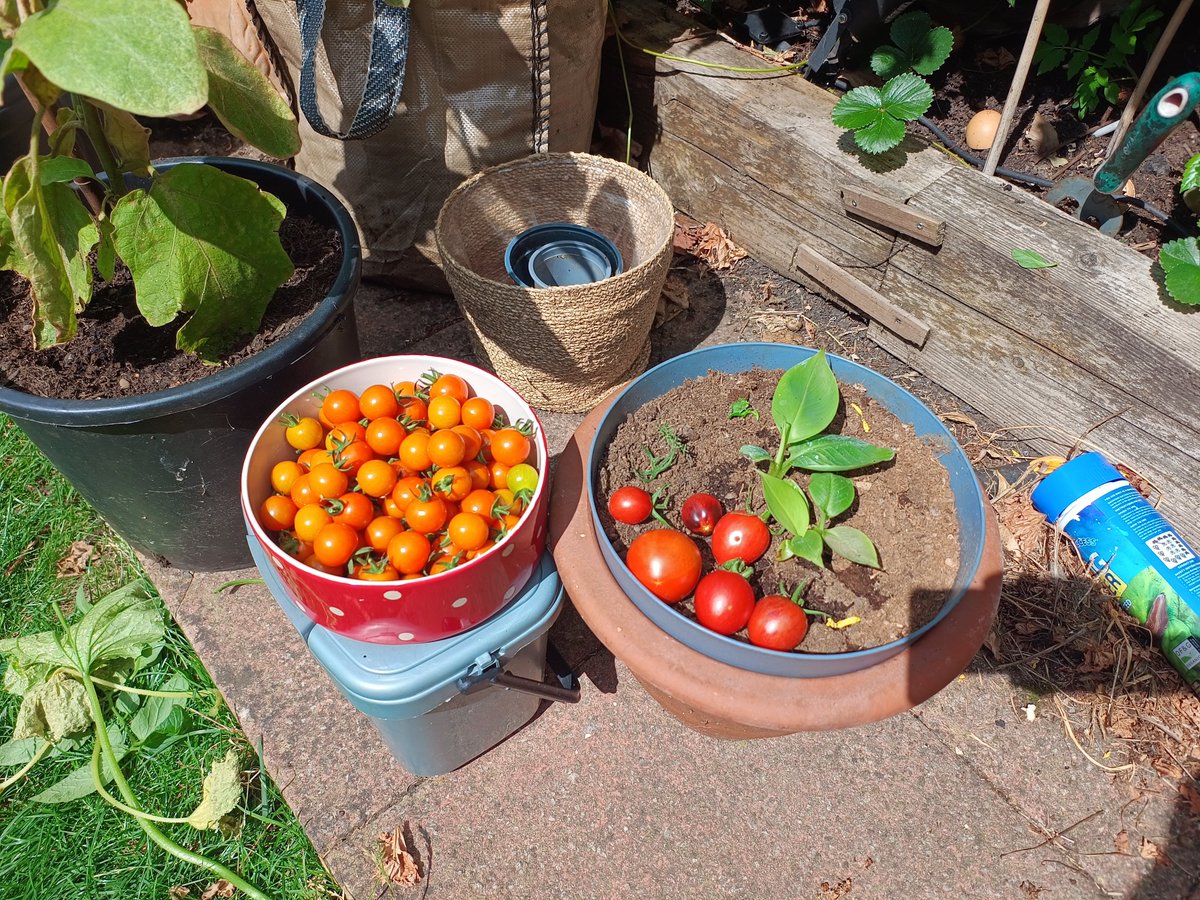 Andy Sheppard tweet media