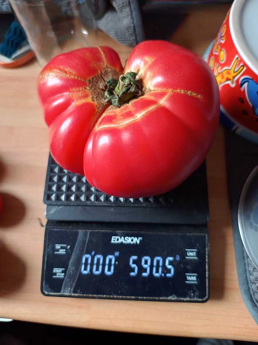 Andy Sheppard tweet media