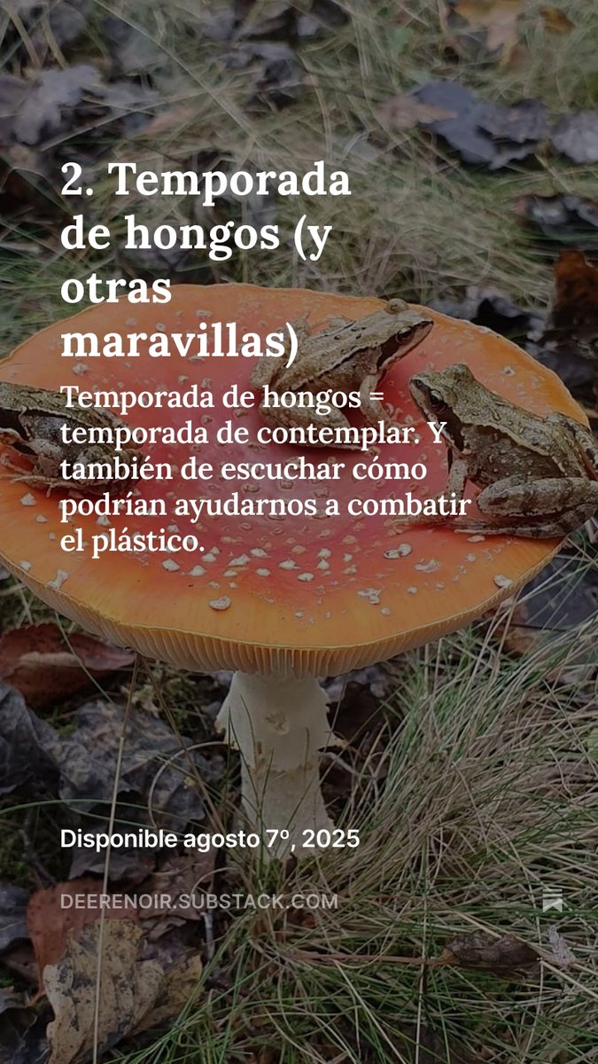 ¡Llegó el newsletter! ✉️ 🍄‍

Y viene con un podcast buenísimo de hongos come plástico de la mano de <a href="/revista_unam/">Revista de la Universidad</a> , así como un bonus de imágenes preciosas en caminata con <a href="/Fungi_Cosas/">Fungi_Cosas</a> 🥾 💫

Léase algo lindo en este sábado. 

open.substack.com/pub/deerenoir/…