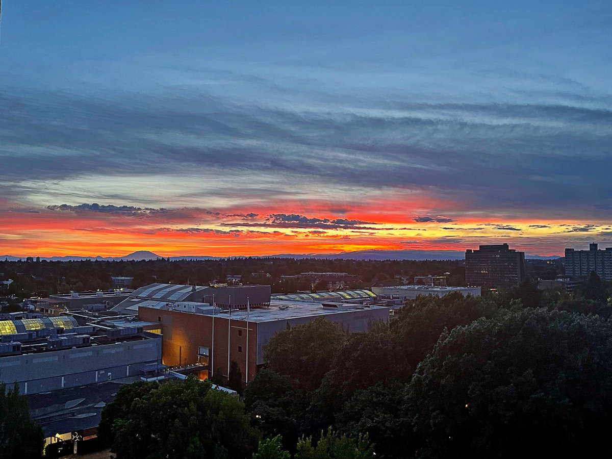 doubletreepdx's tweet image. From breathtaking sunrises to vibrant sunsets, the view from your guestroom at DoubleTree Portland is nothing short of unforgettable. 🌅🌇

📍 Book your room with a view today.
hil.tn/3tpj7k

#DoubleTreePortland #SunriseToSunset  #HiltonHotels