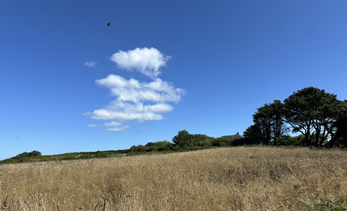 gnsymutterings's tweet image. #sarkisland a beautiful afternoon in sunny ☀️ sark listening to Dave at the old Sark 🇨🇶 hall