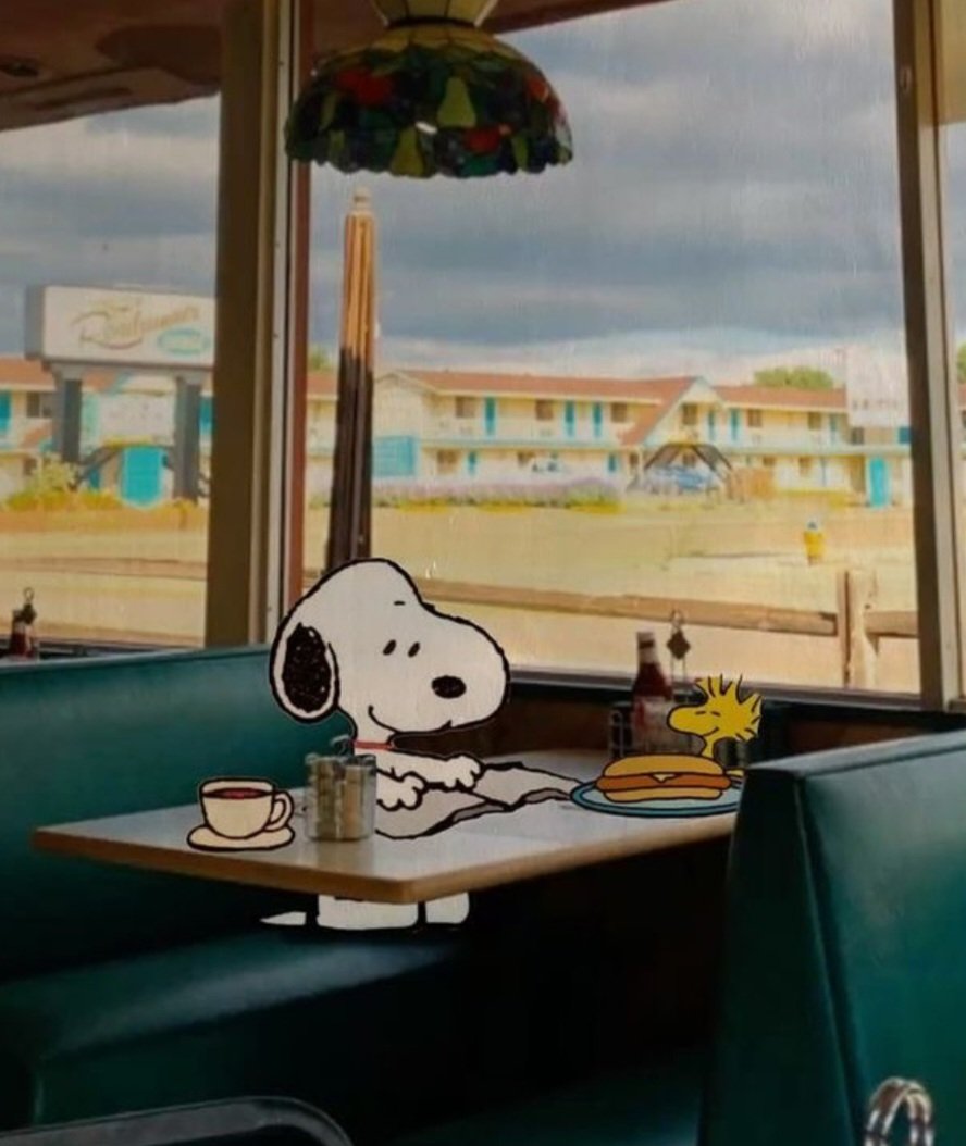Snoopy (@snoopyphotos) on Twitter photo 