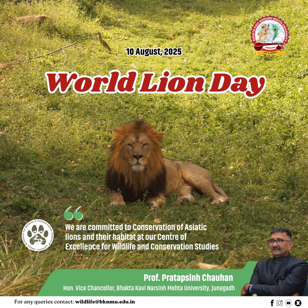 cwcs_junagadh_'s tweet photo. Let's join and save the Pride of Gujarat
The Asiatic Lions. 🦁 🐾 #worldlionday2025 #projectlion #WildlifeConservation https://t.co/fD27kJ263r