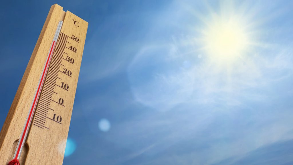 Anthony Borré tweet media