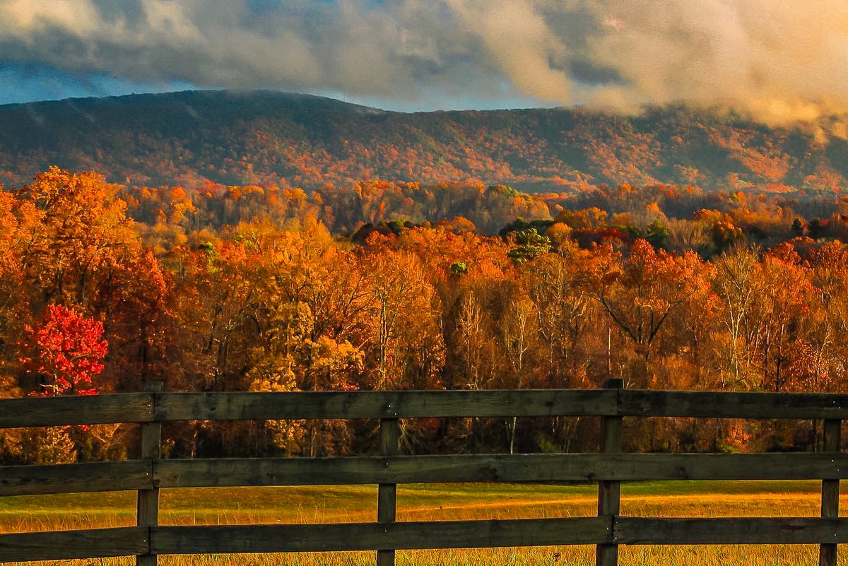 Are you ready for fall in Tennessee? 

📍Treehouse Grove, Gatlinburg
📸 priolaphotography