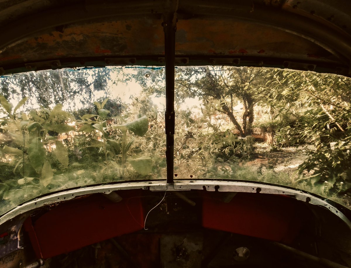 6-(DR)one-4 tweet media