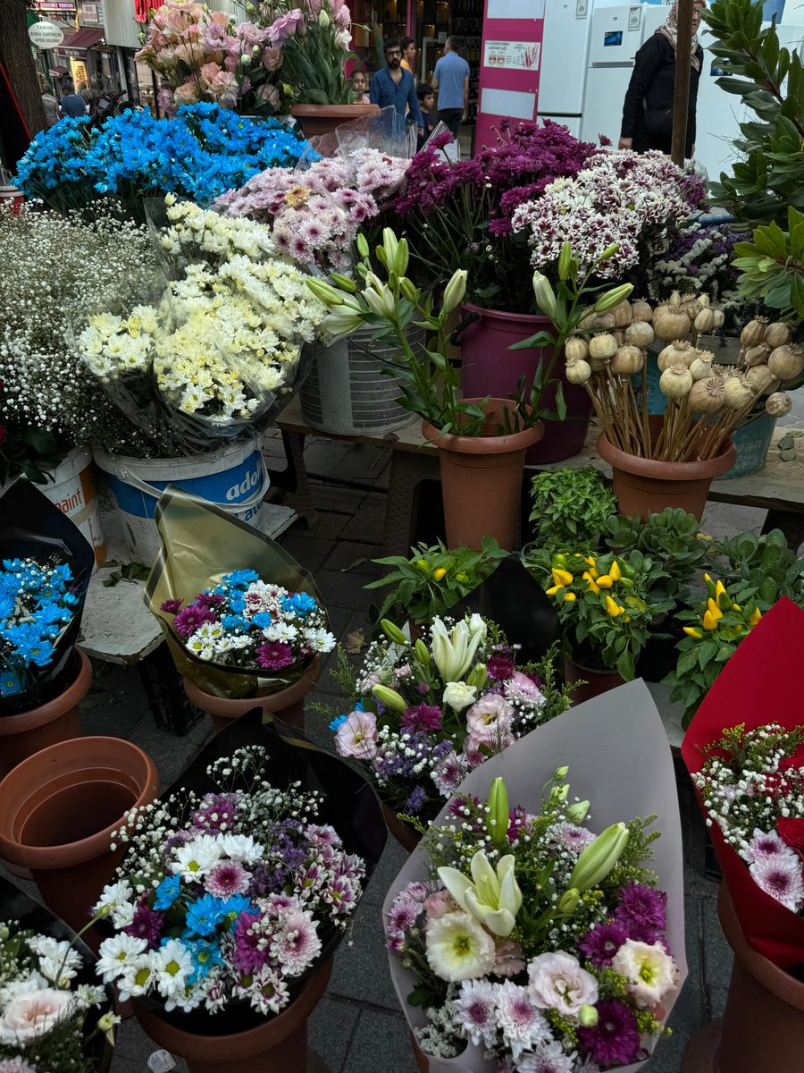 Bazen kaybolmak istiyor insan huzur veren her yerde.