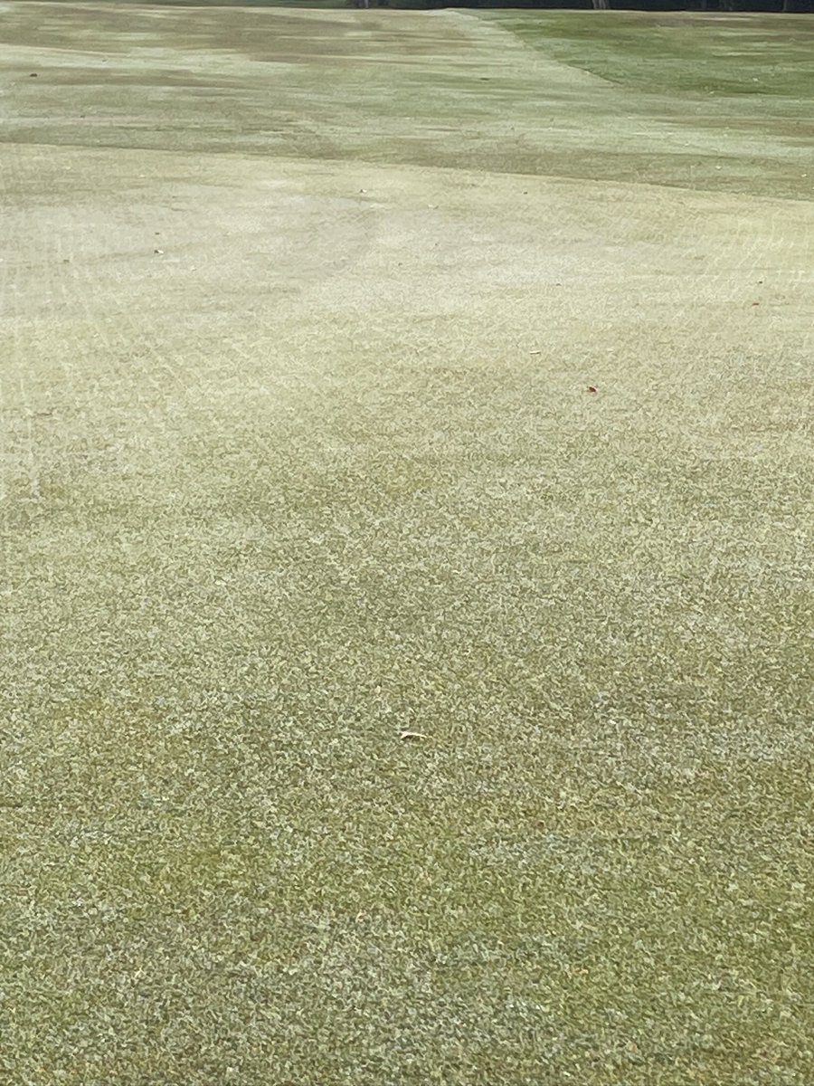 Dunscargreens (@dunscargreens1) on Twitter photo Post maintenance work last week, double Dynocore, overseeded with Tour Leader and AberMajestic, topdress and brush. <a href="/GerminalAmenity/">Germinal Amenity</a> <a href="/MoretonGerminal/">Paul Moreton</a> <a href="/GreenTekGroup/">GreenTek</a> Post maintenance work last week, double Dynocore, overseeded with Tour Leader and AberMajestic, topdress and brush. <a href="/GerminalAmenity/">Germinal Amenity</a> <a href="/MoretonGerminal/">Paul Moreton</a> <a href="/GreenTekGroup/">GreenTek</a>
