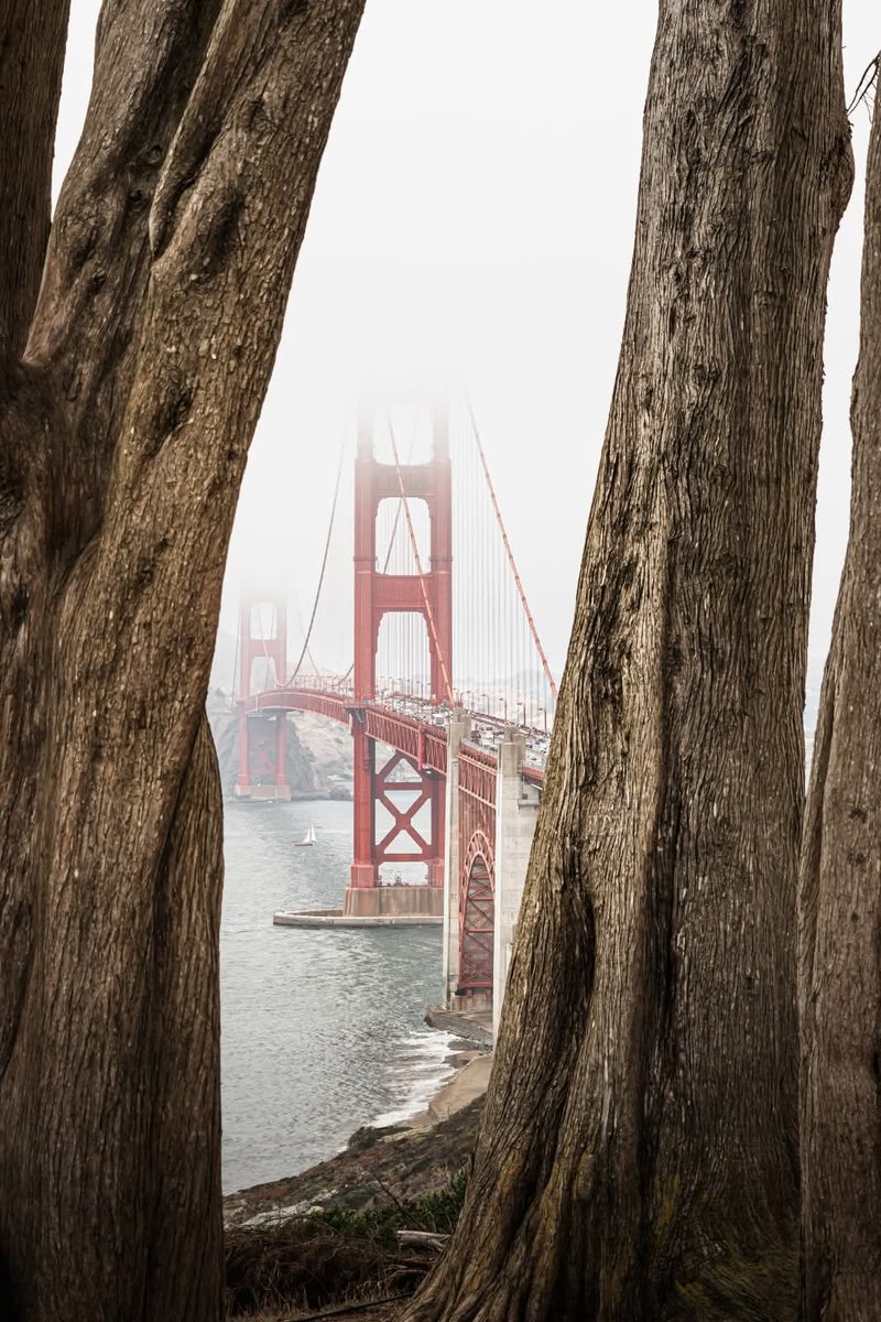 mattfraser_9's tweet photo. Summer in San Francisco. https://t.co/KWetsSBk3b
