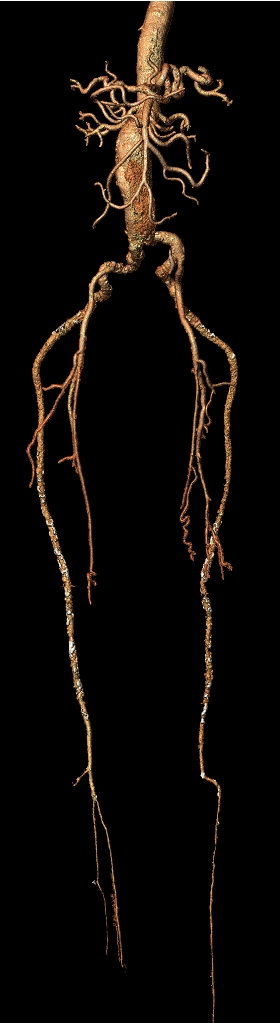 mel sharafuddin tweet media