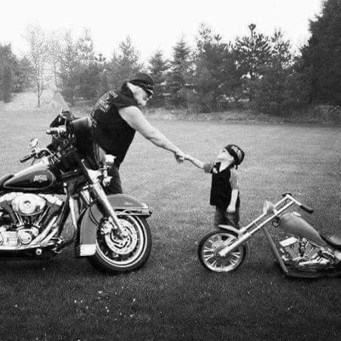 "Herkesi kendine eşit gör, her kim olursa olsun bir insanı küçümsemek akılsızlık, çok büyük görmekte korkaklıktır."

Kızılderili Atasözü