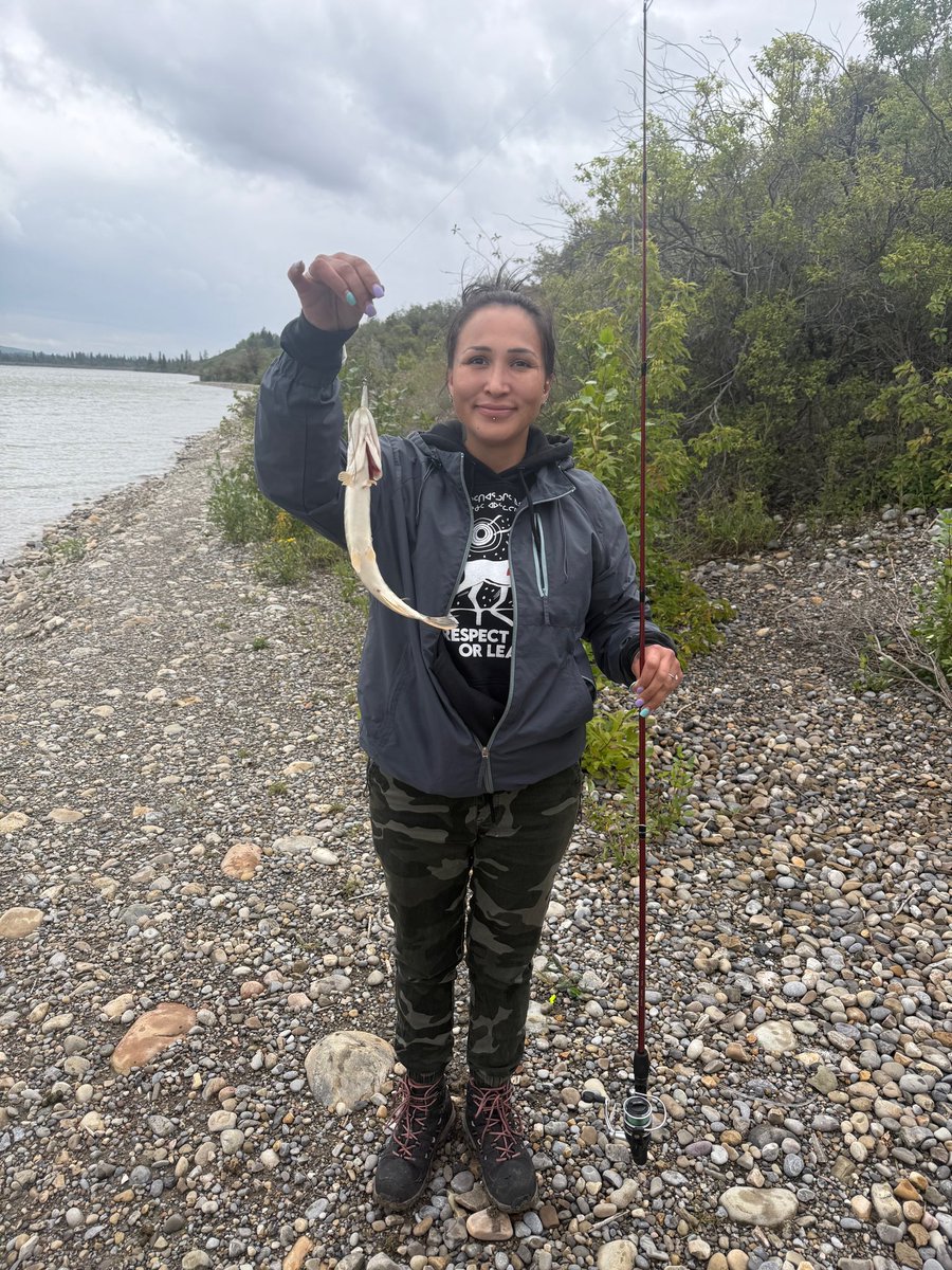 Iviviq ᐃᕕᕕᖅ ❄️ tweet media