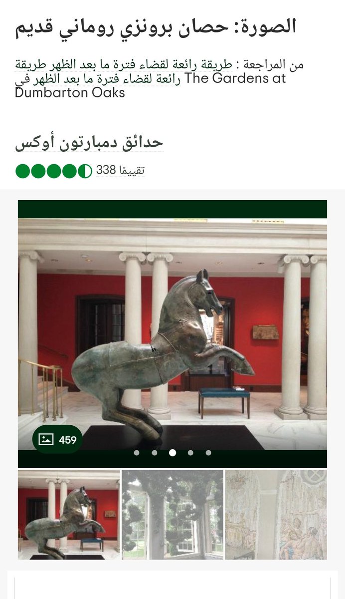 للأسف هذي الصورة لحصان روماني قديم