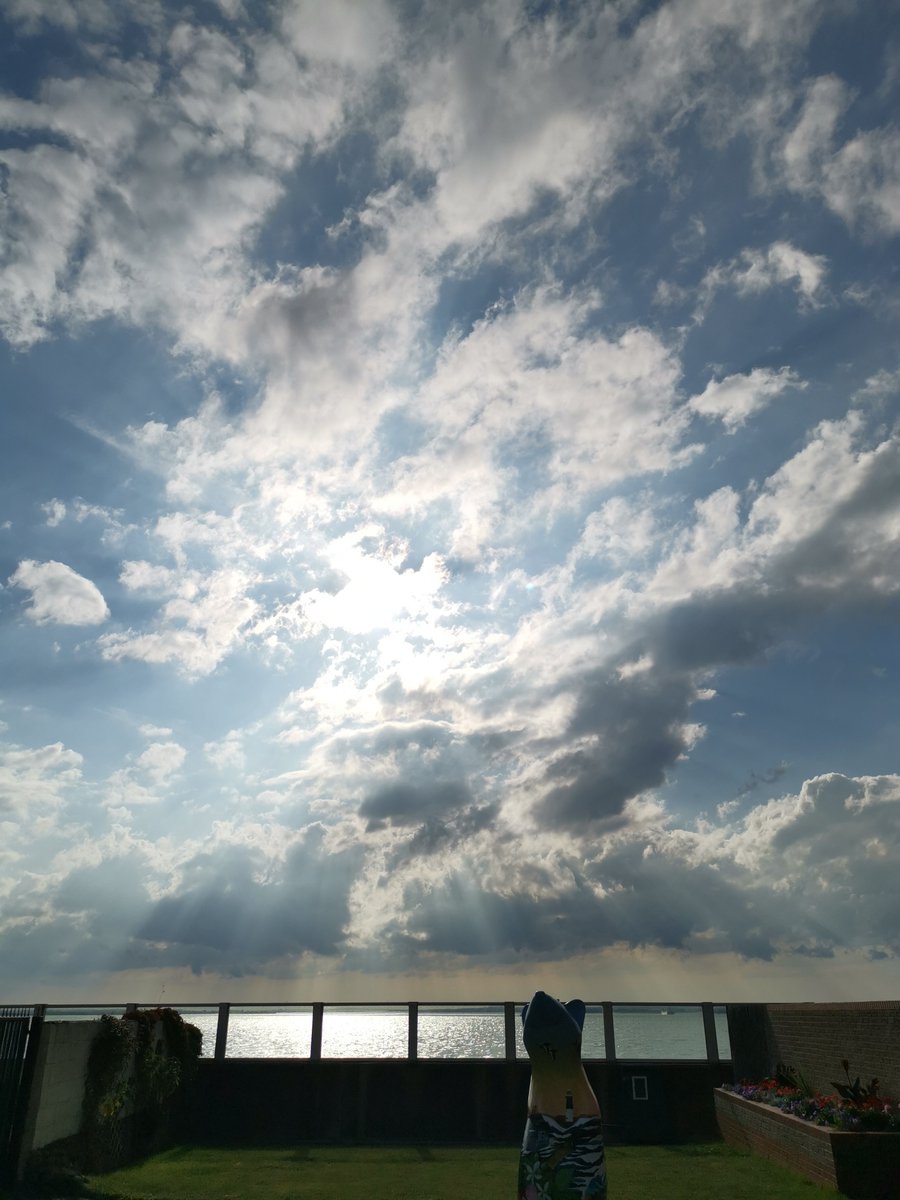 Random Stuff Series.
#photography #photo #nature #NaturePhotography #clouds #sky #amischieforats