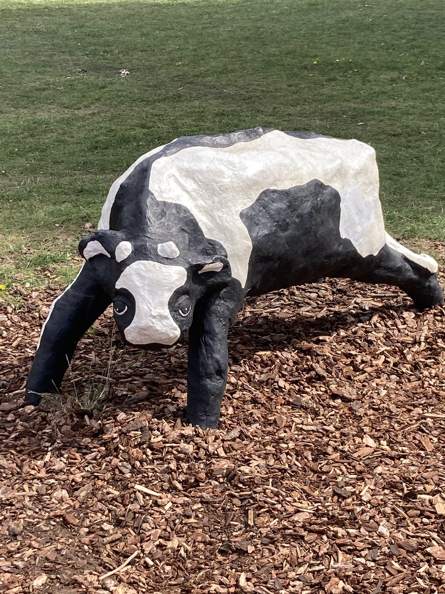 Concrete cows 🐄