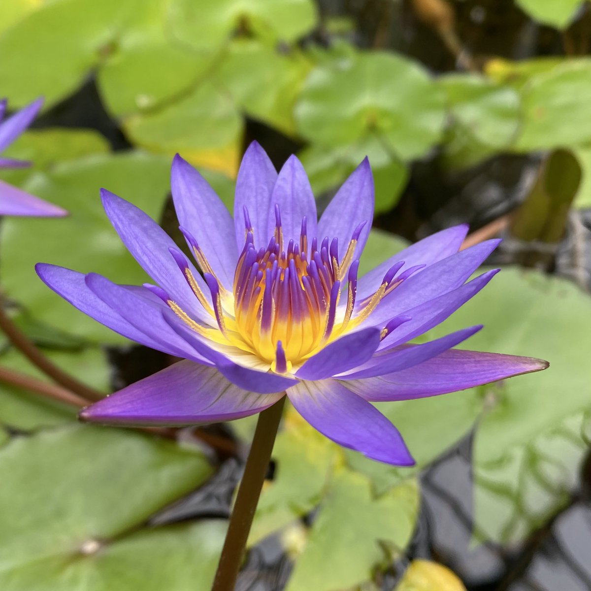 ひろみ 🦋 (@u90pVKxMdO9ffre) / Posts / X