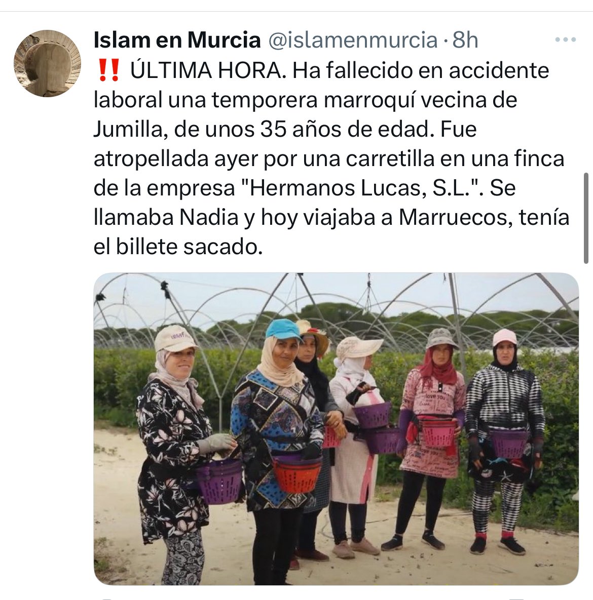 Víctor Egío tweet media