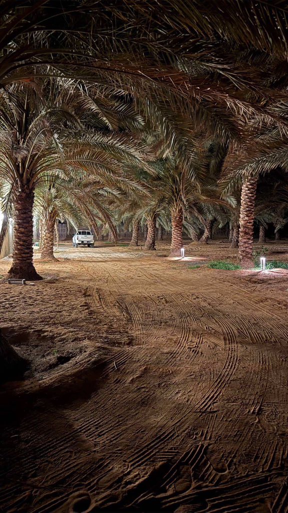 تجيبك طواري اللّيل لا راح ثلث الليل
ويدعيك قلبٍ لا تناسى ولا هووووون