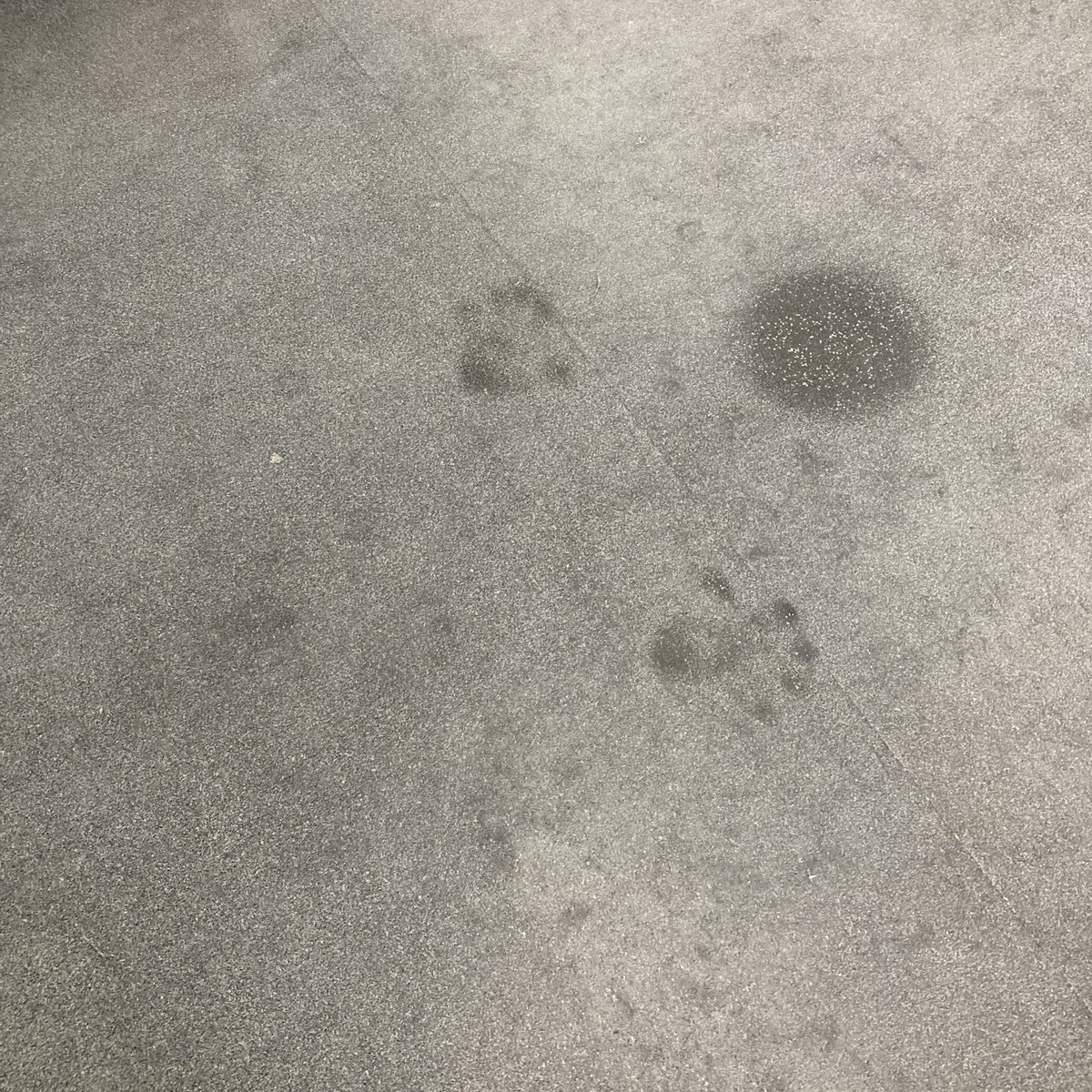 They were in the gym doing weighted prayers to Mecca