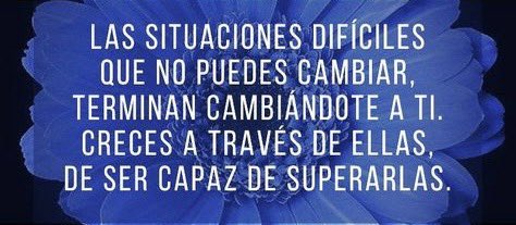 ELEVAS TU FRECUENCIA Y CONECTAS MÁS CON LA FUENTE !