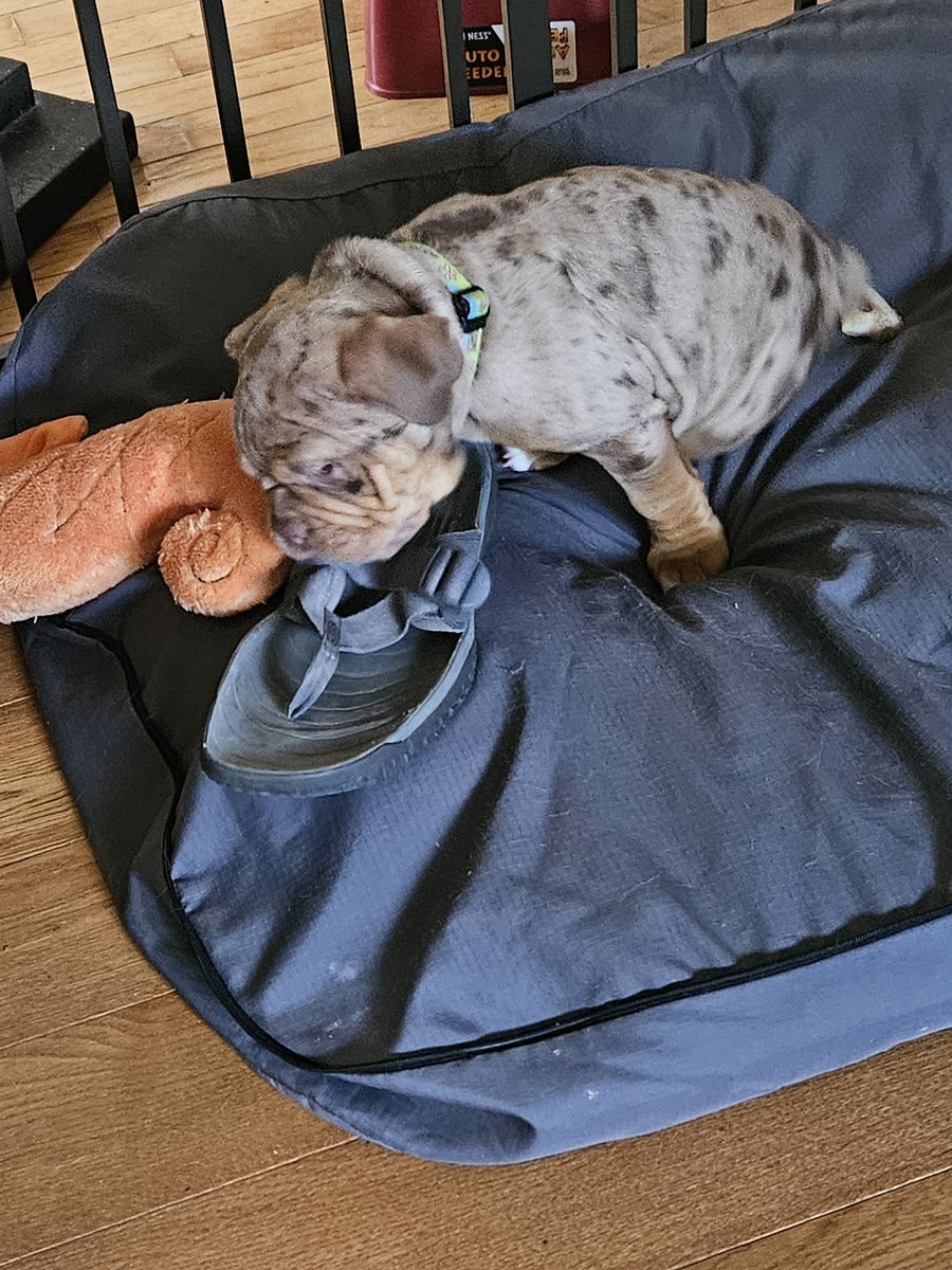 Andrew Brown tweet media