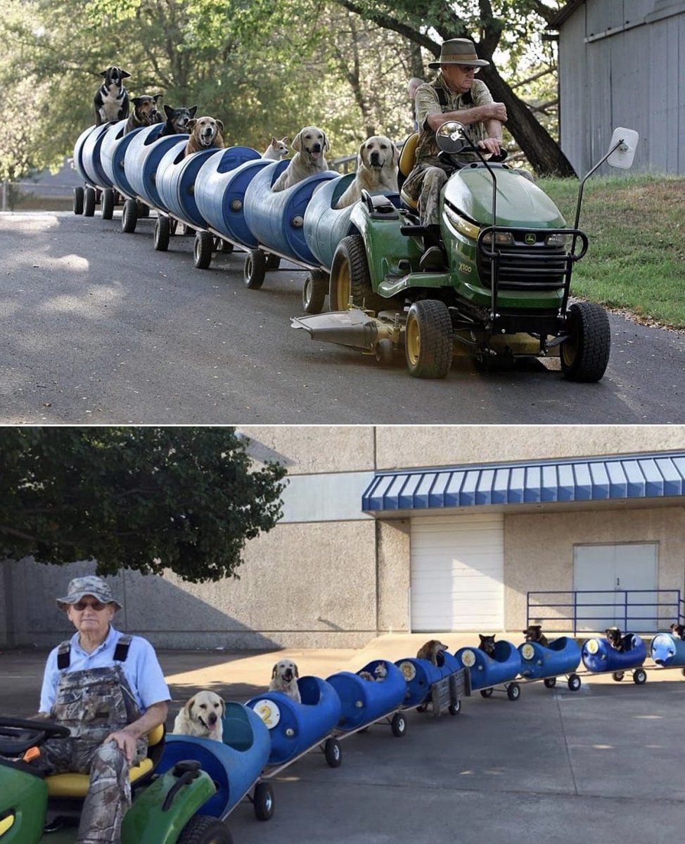 Eugène Bostick, fermier texan à la retraite, a consacré ses vieux jours à recueillir des chiens abandonnés… et leur a construit un petit train pour les promener. Le monde a besoin de plus d’histoires comme celle-ci.