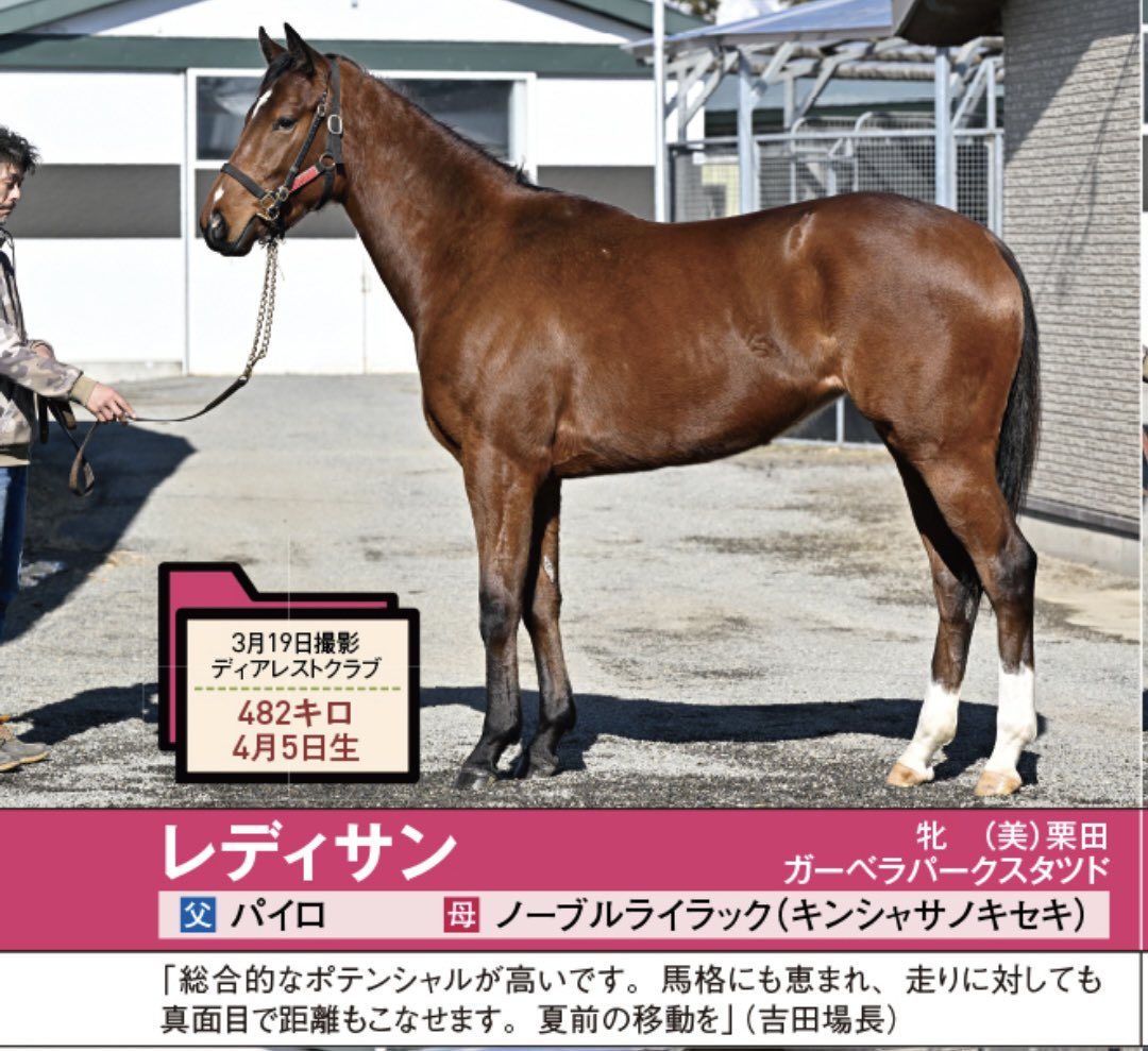 競馬王のPOG本 - Search / X