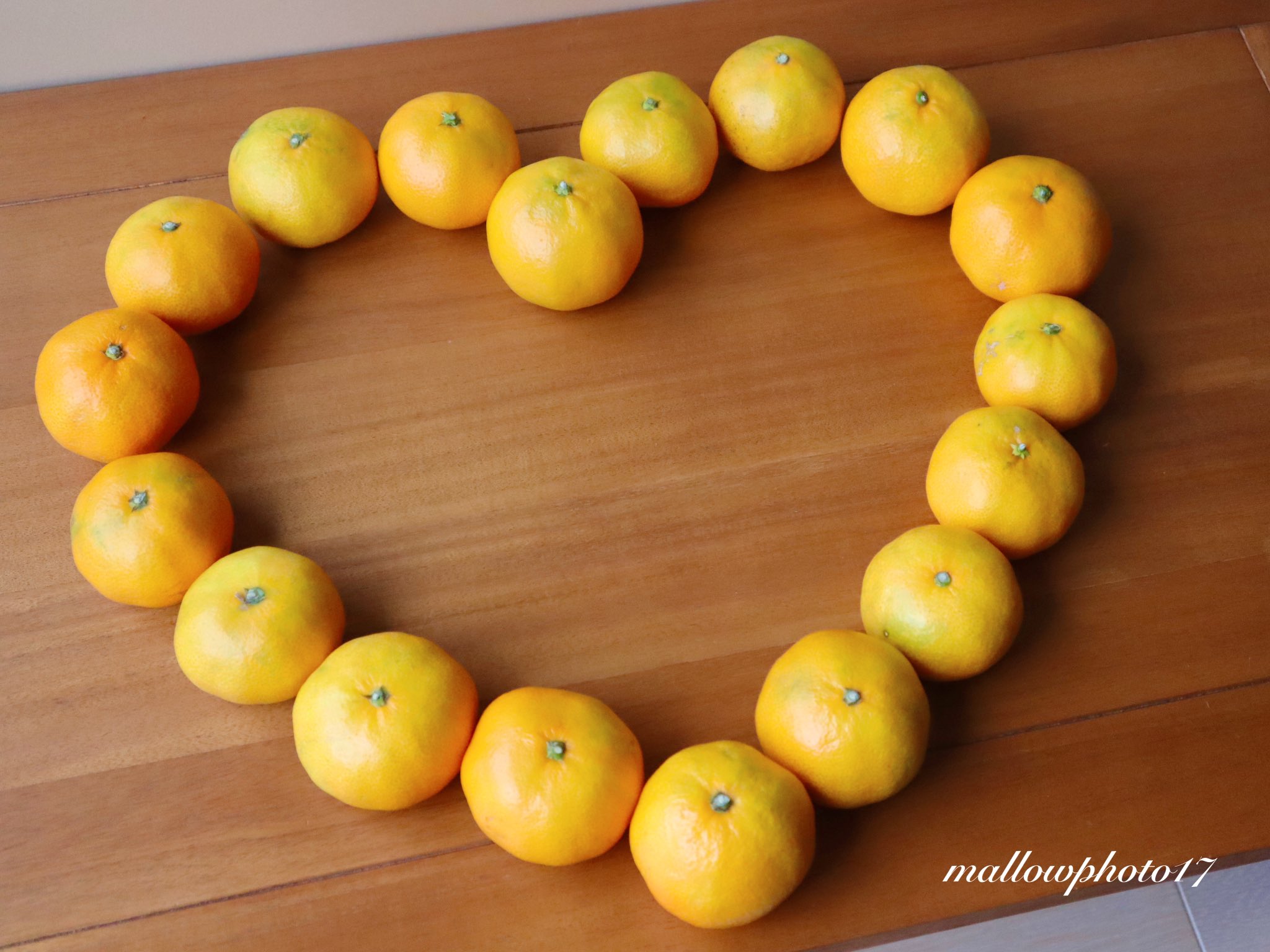 まろーphoto17 on X: 