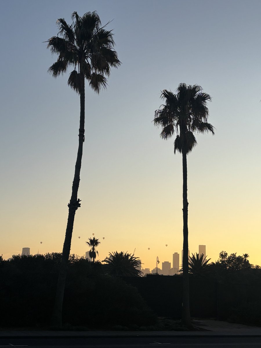 Melbourne was stunning this morning
