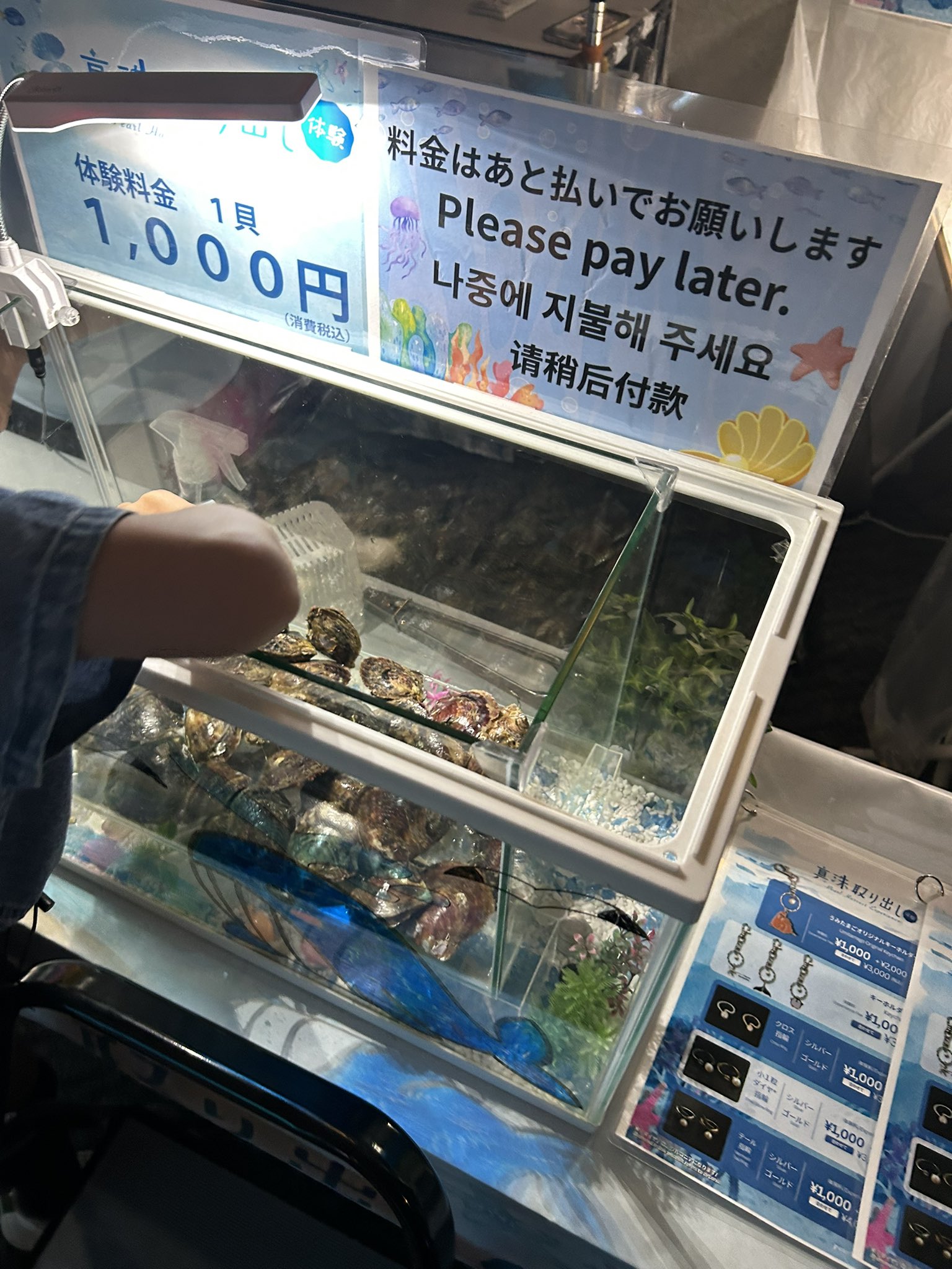 たまうみページ Amazon.co.jp: イッセイ海太郎(Issei Umitaro) 根魚玉 赤玉 小鈎