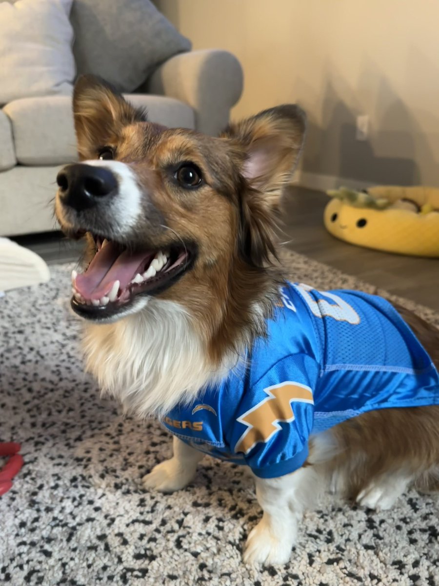 hi bolt fam! anyone looking for tickets to tomorrows preseason game vs the saints? can’t make the trip from TX to LA, so we want to make sure they go to a bolt fan. 🙂⚡️ tickets are C128 row 11, seats 9 &amp; 10